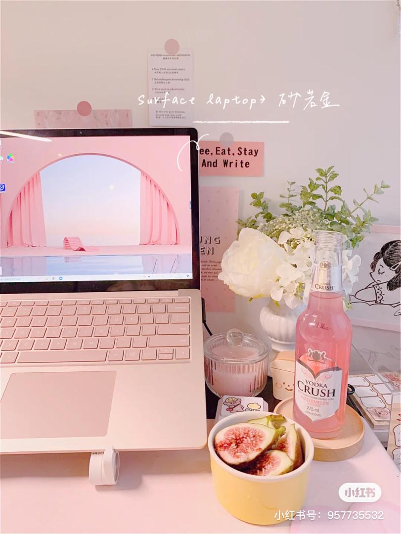 Microsoft Surface Laptop Go 主打随处可用超便携的Surface Laptop Go,月前新上市就在网上掀起热议!其中「冰雪蓝色」、「沙岩粉金色」大受女生消费群喜爱,Touch Screen触控屏幕、续航力长大13小时、重量仅1.1KG左右,重点是价格还很经济实惠。功能性部分,虽然不能做太重型的操作,但一般办公、做作业使用十分友好。