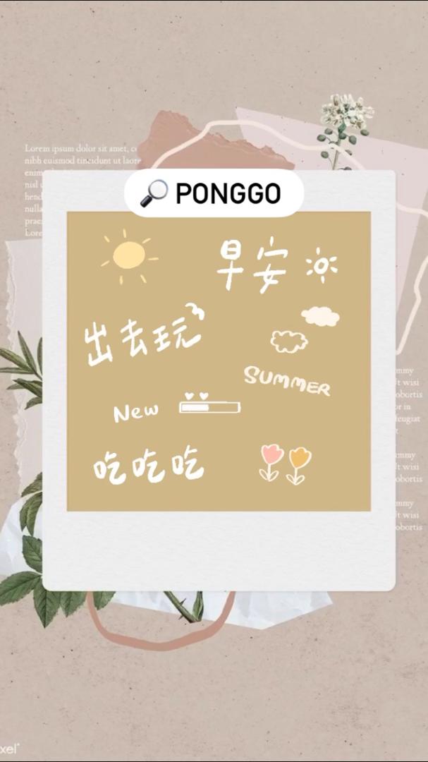 ponggo