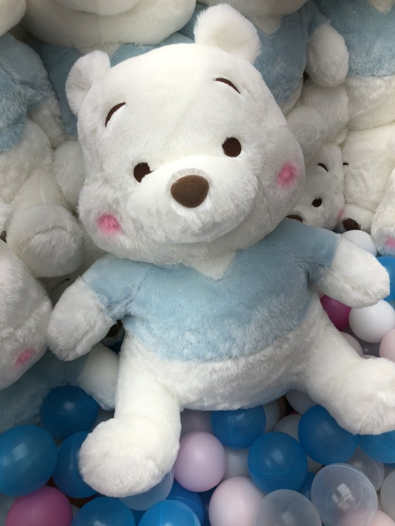 维尼熊 5