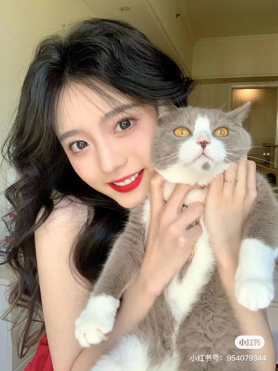 生命灵数6号:性格特征、2021年运势