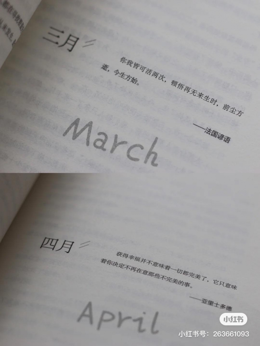 《你长大了就会懂》书中触动人心的金句摘录: