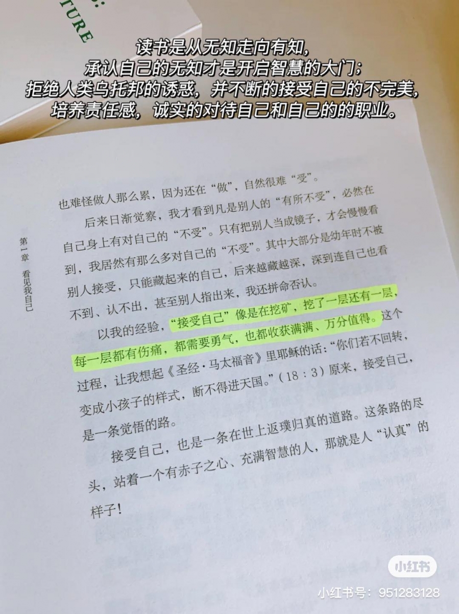 《人生只有一件事》书中触动人心的金句摘录:
