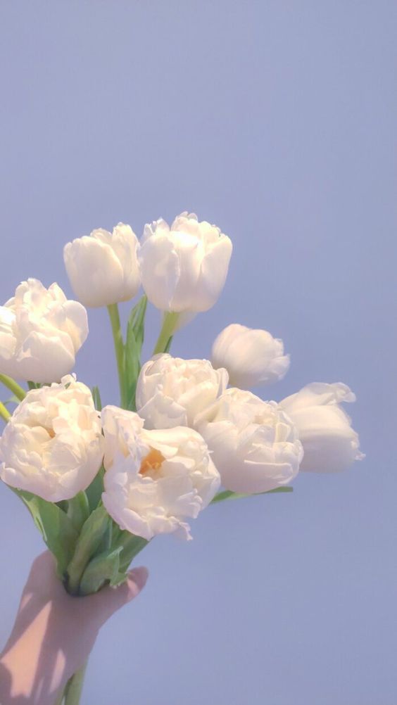 「没有结果的时候,就好好睡一觉吧!不用太责怪自己,你也是很努力才走到了这里,而现在这里其实也挺好的。请你一直相信:会过去的、会到来的、会拥有的。」