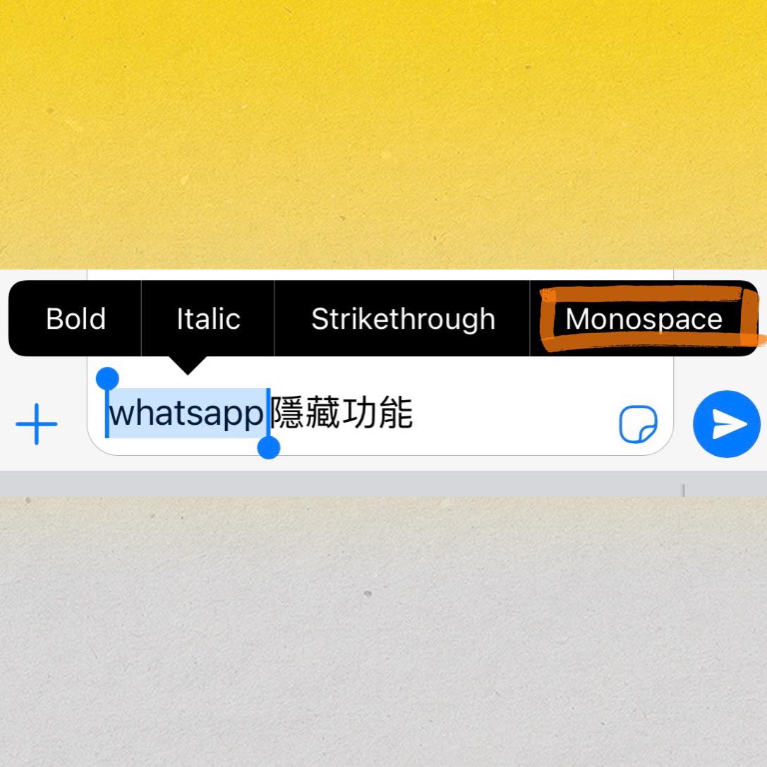 WhatsApp隐藏功能 7 ：改变文字字体、简繁体切换  文字Select起来长按后除了有Bold/Italic/Strike Through选项，还可以点选Monospace改变字型、中文字进行简繁体切换。