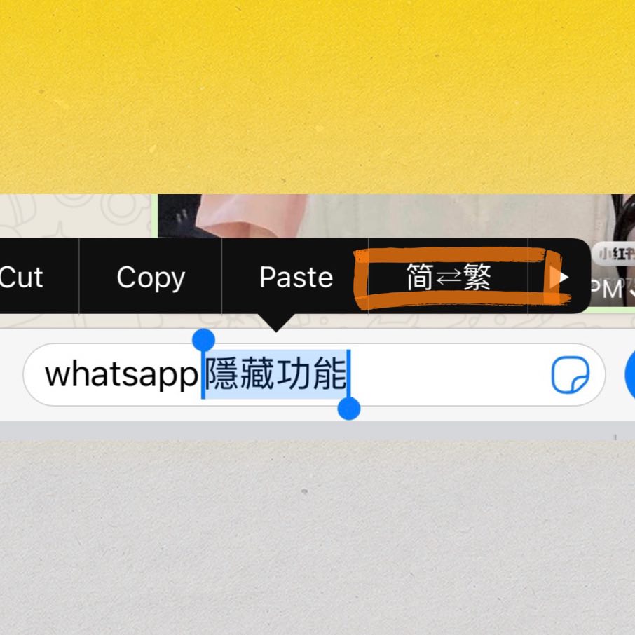 WhatsApp隐藏功能 7 ：改变文字字体、简繁体切换  文字Select起来长按后除了有Bold/Italic/Strike Through选项，还可以点选Monospace改变字型、中文字进行简繁体切换。