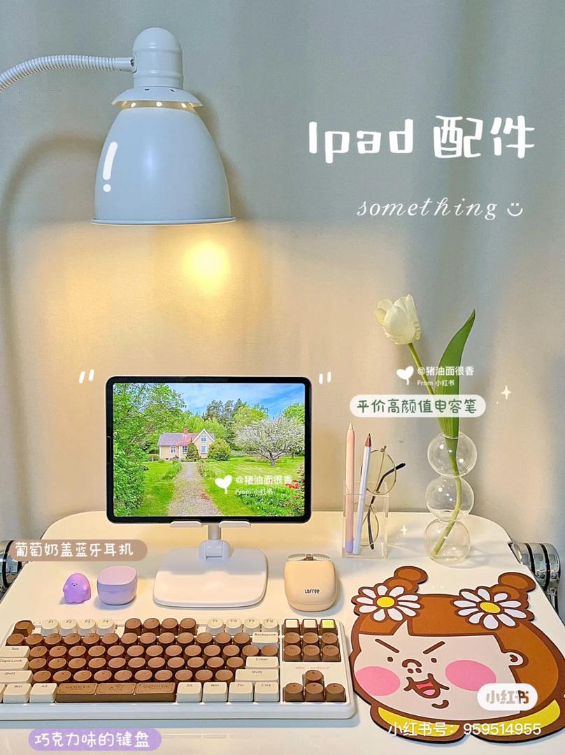 iPad 键盘 15
