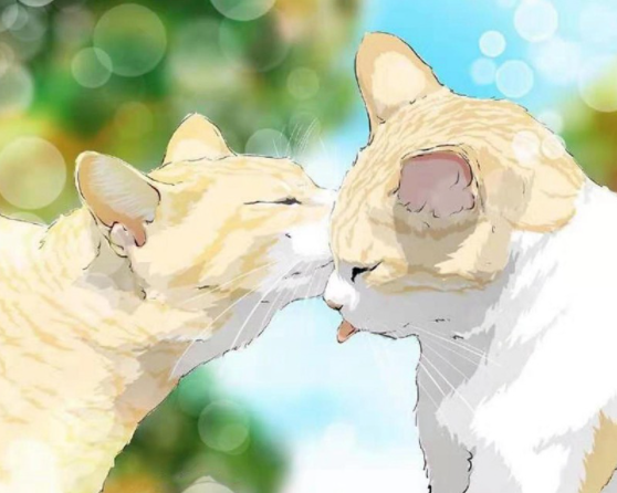 Number Painting_Shopee (3)