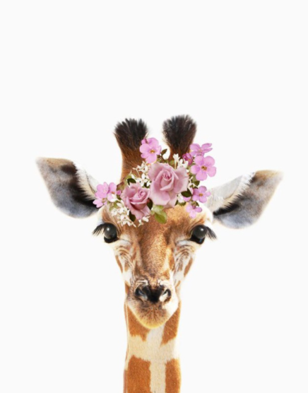 Number Painting_Shopee (7)