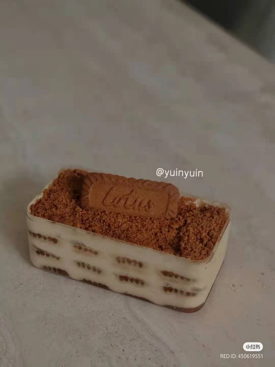 0803_Lotus Biscoff (6)