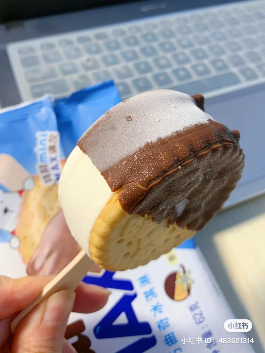 220763054_542975783489466_7134275057371594206_n