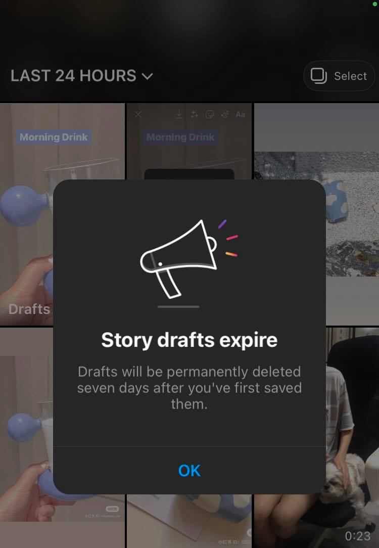 230442000_581404606201790_5242393973672540897_n