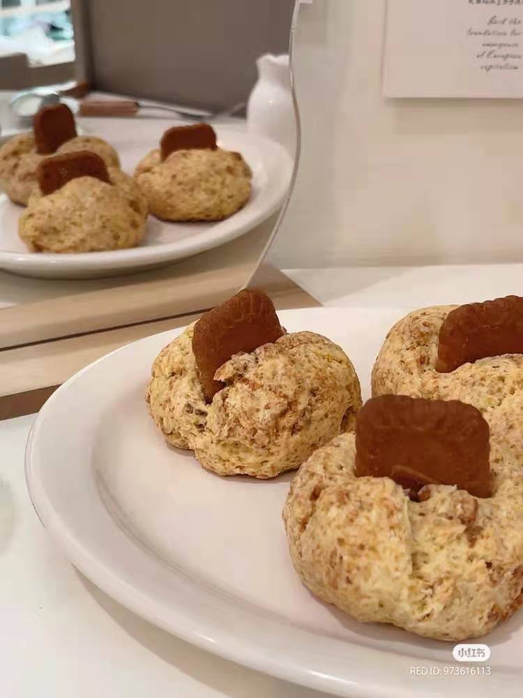 0803_Lotus Biscoff (12)