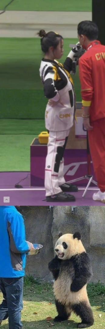 奥运会选手撞脸艺人 2