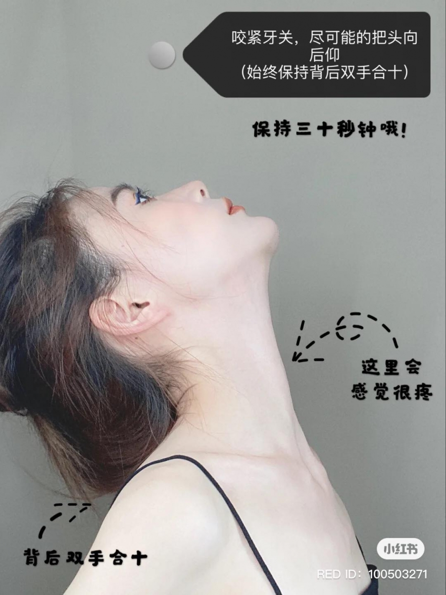 向上仰