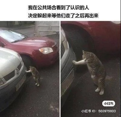 3、逛街最不想碰到店员前来为你服务 逛街Shopping时最怕遇到店员紧紧跟在后面,每次有电源线前来“专门服务”,都会紧张+尴尬到想立刻落荒而逃。 4、在路上遇到不是很熟的亲朋好友?躲就对了! 在路上遇到亲戚或不太熟的朋友,恨不得找个洞把自己藏起来!会尽可能绕路走或躲藏起来不被对方看见,深和自己「对到眼」前来找你聊天寒暄。