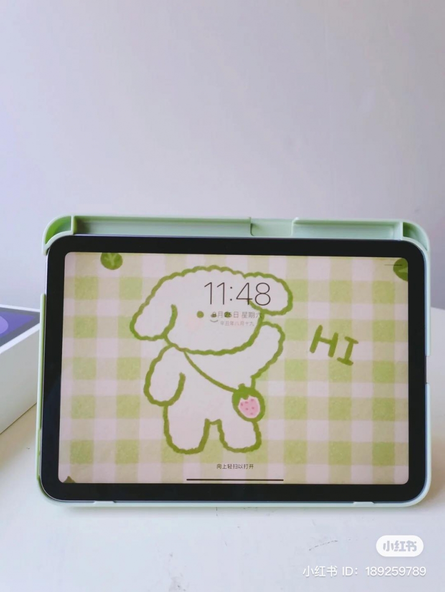 iPad Mini 大翻车 （8）