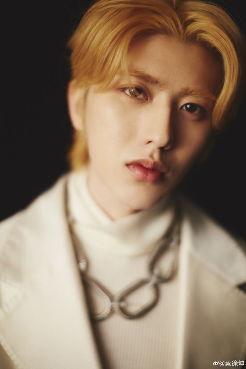 先前有官媒拿鹿晗、蔡徐坤作为前车之鉴，批评他们都是「娘炮」形象，强烈抵制「畸形审美」让不少花美男被迫一改风格