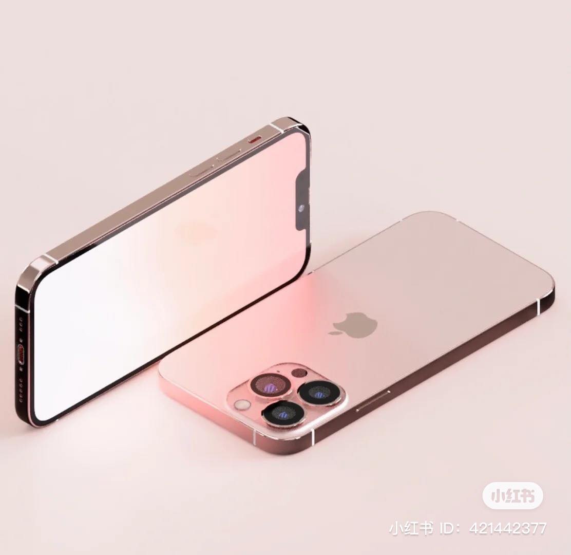 241002689_362281898954151_3272292875075345658_n