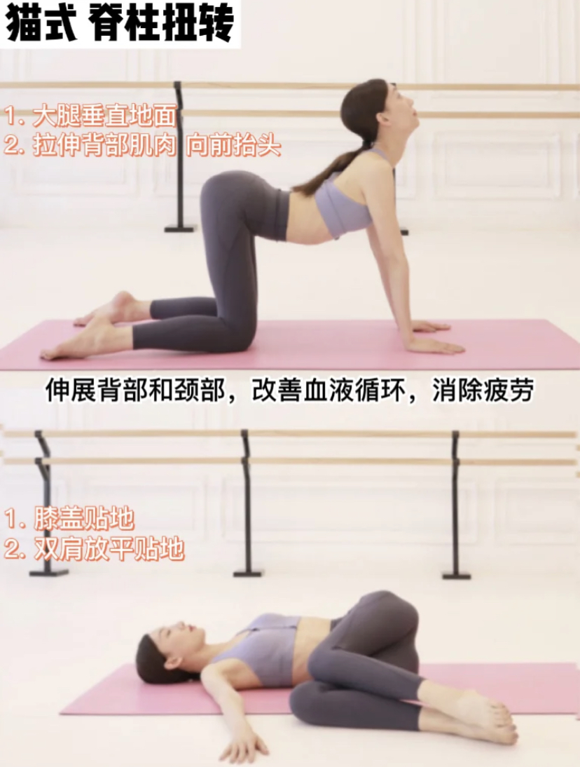 月经期间塑形瑜伽，猫式背株扭转