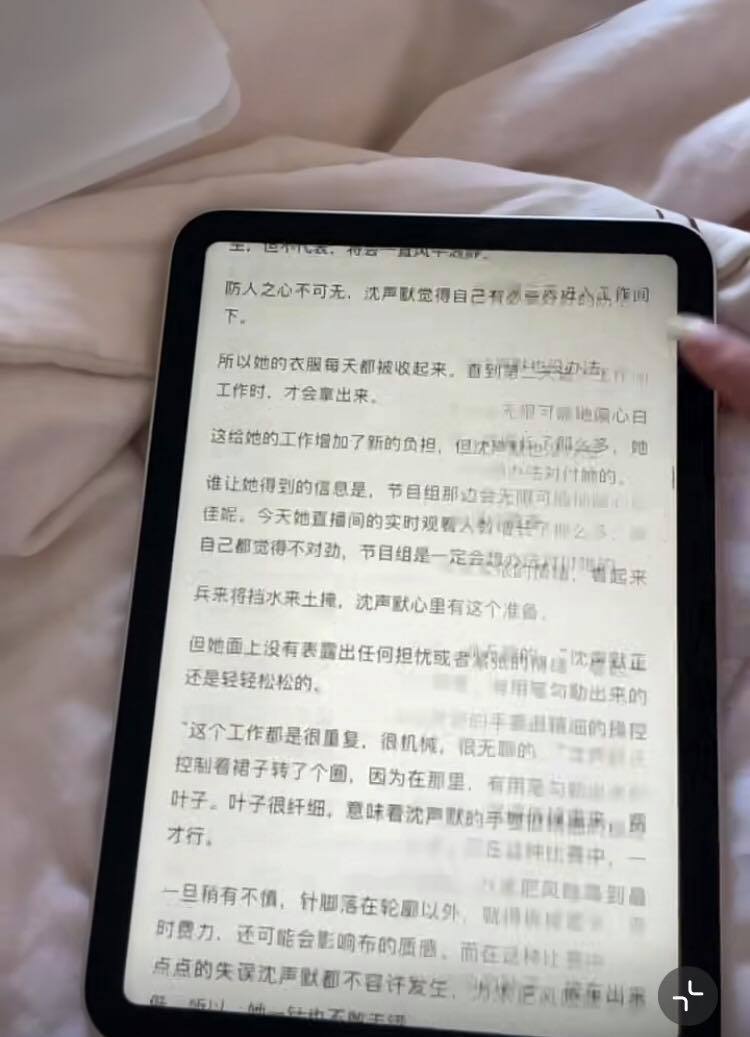 iPad Mini 大翻车 （28）