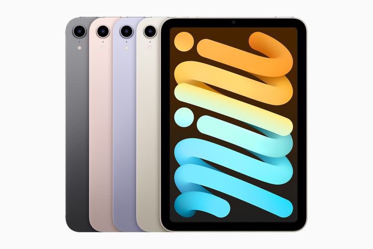 241877322_388990429427744_8973915339536741344_n