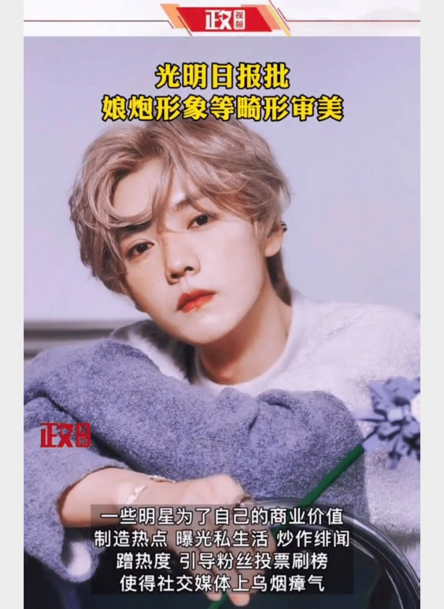 文中斥责影视机构和经纪公司将这类型举止/气质的艺人包装成为青少年偶像;也痛斥这类艺人刻意制造热点,透过曝光私生活、炒作绯闻、蹭热度、挑起或煽动粉丝之间的争端骂战、买热搜等,用以保持自己的商业价值和话题性,让社交媒体变得乌烟瘴气,因此应该视作「社会问题」严加遏制。 刊文中写道「而其中有些人因人品艺德不佳频频爆出负面新闻,触碰道德底线,甚至踩踏法律红线」、「一枚“小鲜肉”新星坠落或不足惜,但这股从娱乐圈席卷而来的病态审美风潮,对青少年审美取向的恶劣影响,不能不引起社会重视」、「不少青少年为了成为像他们一样的明星,用青春做抵押、离开学校,开始”练习生“生涯」、「部分现实题材和革命历史题材创作也邀请“小鲜肉”出演英模、硬汉,使本该阳刚、成熟、正气的形象变得幼稚、邪魅」。