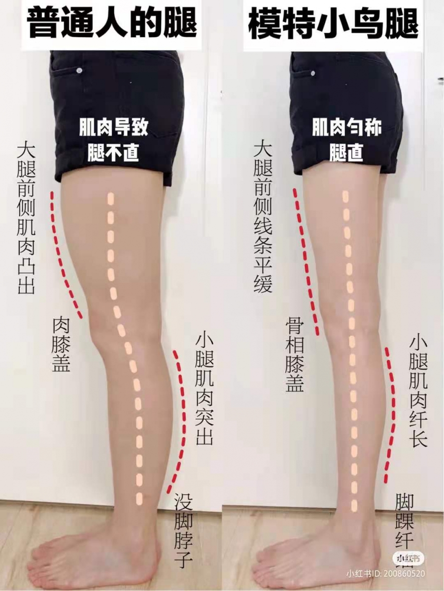 从小红书上扒出超高人气、已破200K点赞和收藏的「职业模特瘦腿秘籍」,做的过程中拉伸感极佳,坚持短短一段时间雕塑细腿效果超有感!