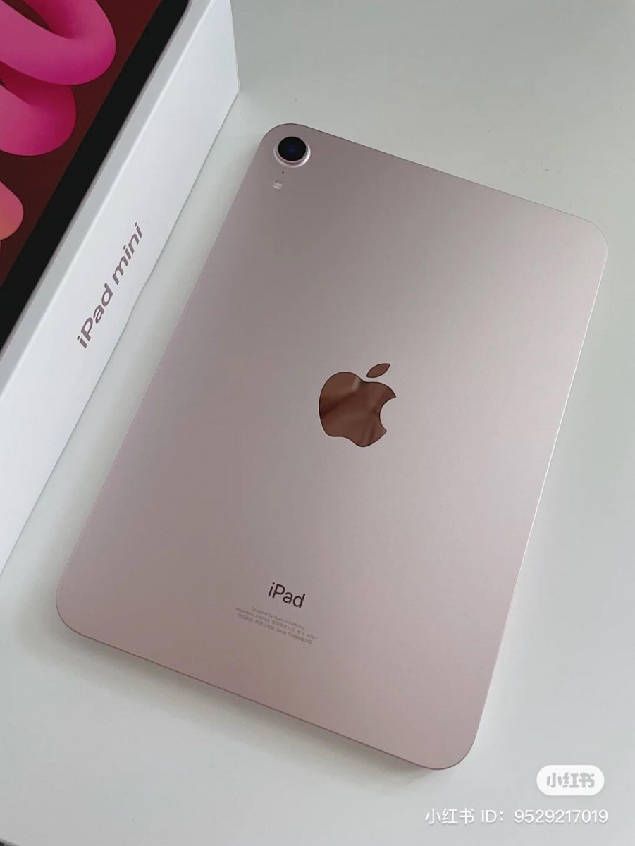 iPad Mini 大翻车 （1）