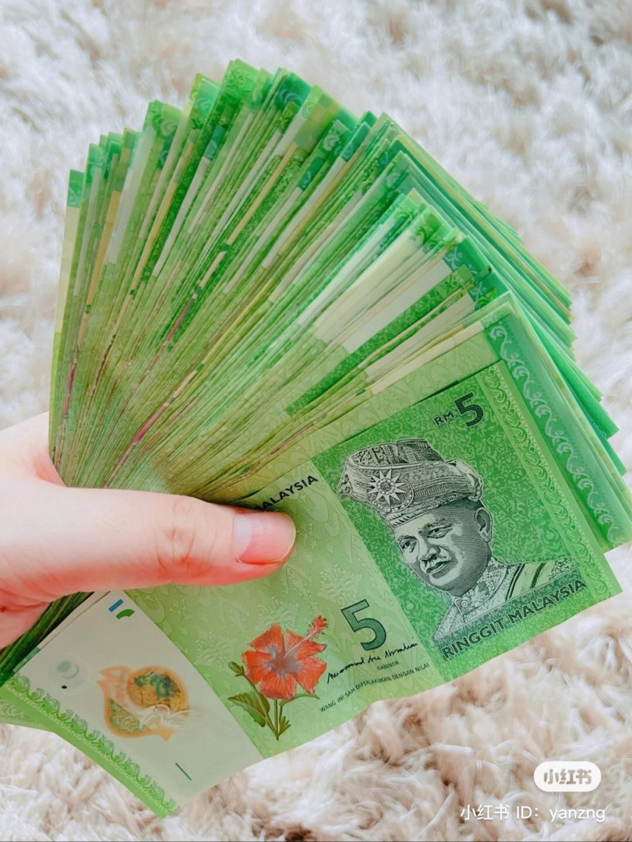 大马女孩 RM 20 存钱法 （8）