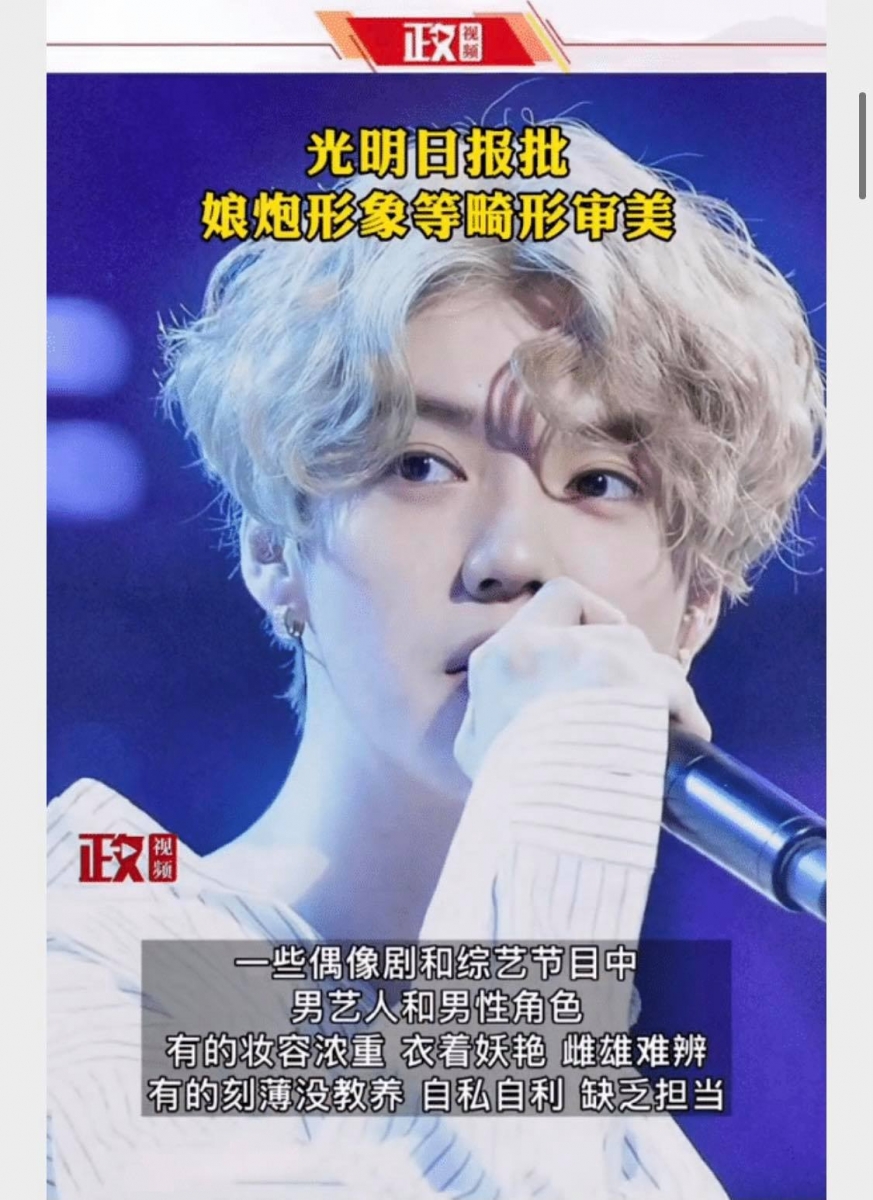 文中斥责影视机构和经纪公司将这类型举止/气质的艺人包装成为青少年偶像;也痛斥这类艺人刻意制造热点,透过曝光私生活、炒作绯闻、蹭热度、挑起或煽动粉丝之间的争端骂战、买热搜等,用以保持自己的商业价值和话题性,让社交媒体变得乌烟瘴气,因此应该视作「社会问题」严加遏制。 刊文中写道「而其中有些人因人品艺德不佳频频爆出负面新闻,触碰道德底线,甚至踩踏法律红线」、「一枚“小鲜肉”新星坠落或不足惜,但这股从娱乐圈席卷而来的病态审美风潮,对青少年审美取向的恶劣影响,不能不引起社会重视」、「不少青少年为了成为像他们一样的明星,用青春做抵押、离开学校,开始”练习生“生涯」、「部分现实题材和革命历史题材创作也邀请“小鲜肉”出演英模、硬汉,使本该阳刚、成熟、正气的形象变得幼稚、邪魅」。