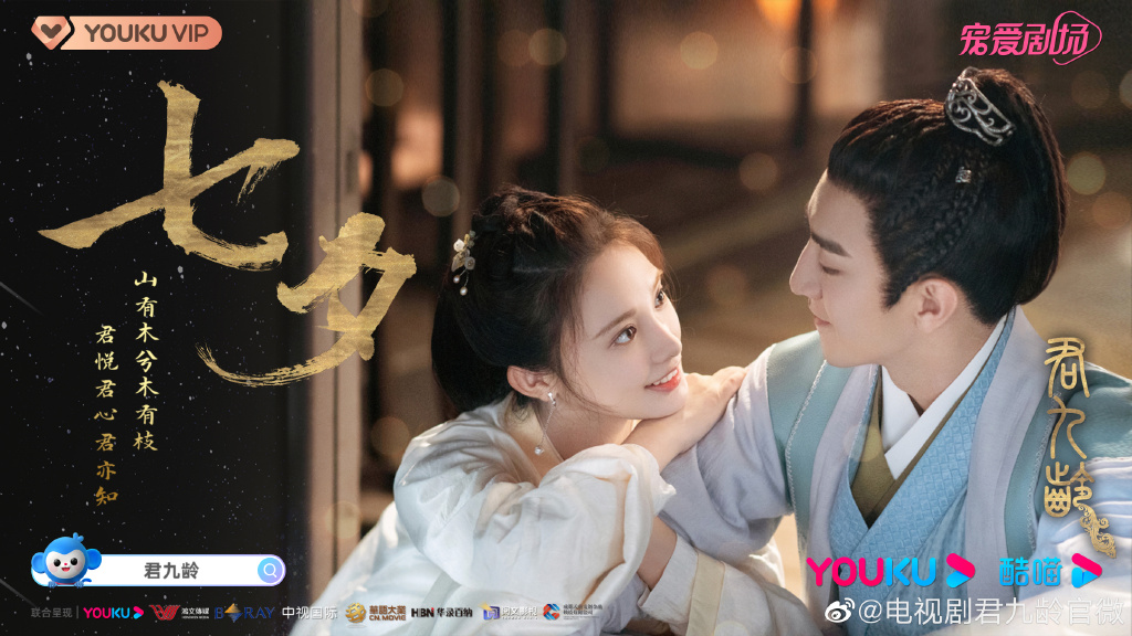 《君九龄》剧情讲述落魄公主楚九龄经历家破人亡等一系列变故，因怀疑是亲叔父弑君篡位，因此决心隐姓埋名苦练技艺、磨炼自我，探查阴谋背后隐藏的真相。九龄在男主角成国公世子朱瓒帮助下，喜好医术的她坚持济世救人，即使在凶手不断骚扰和攻击中依然顽强，建立了医馆九龄堂守护百姓，最终让真相大白于天下、手刃仇人，并且涅槃重生成为了一代名医。