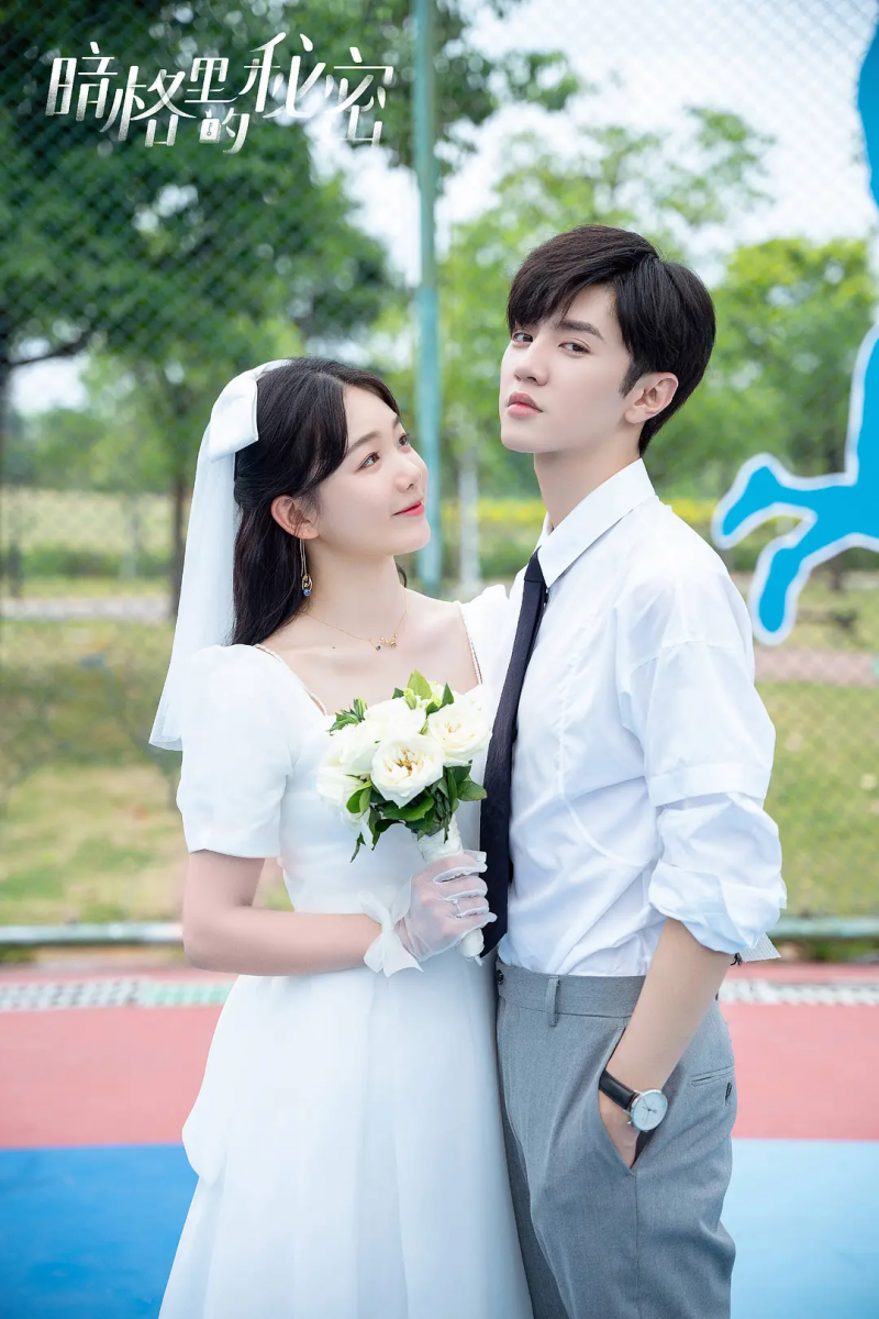 2021 豆瓣高分甜宠剧 TOP 10:《暗格里的秘密》| 豆瓣评分:6.7