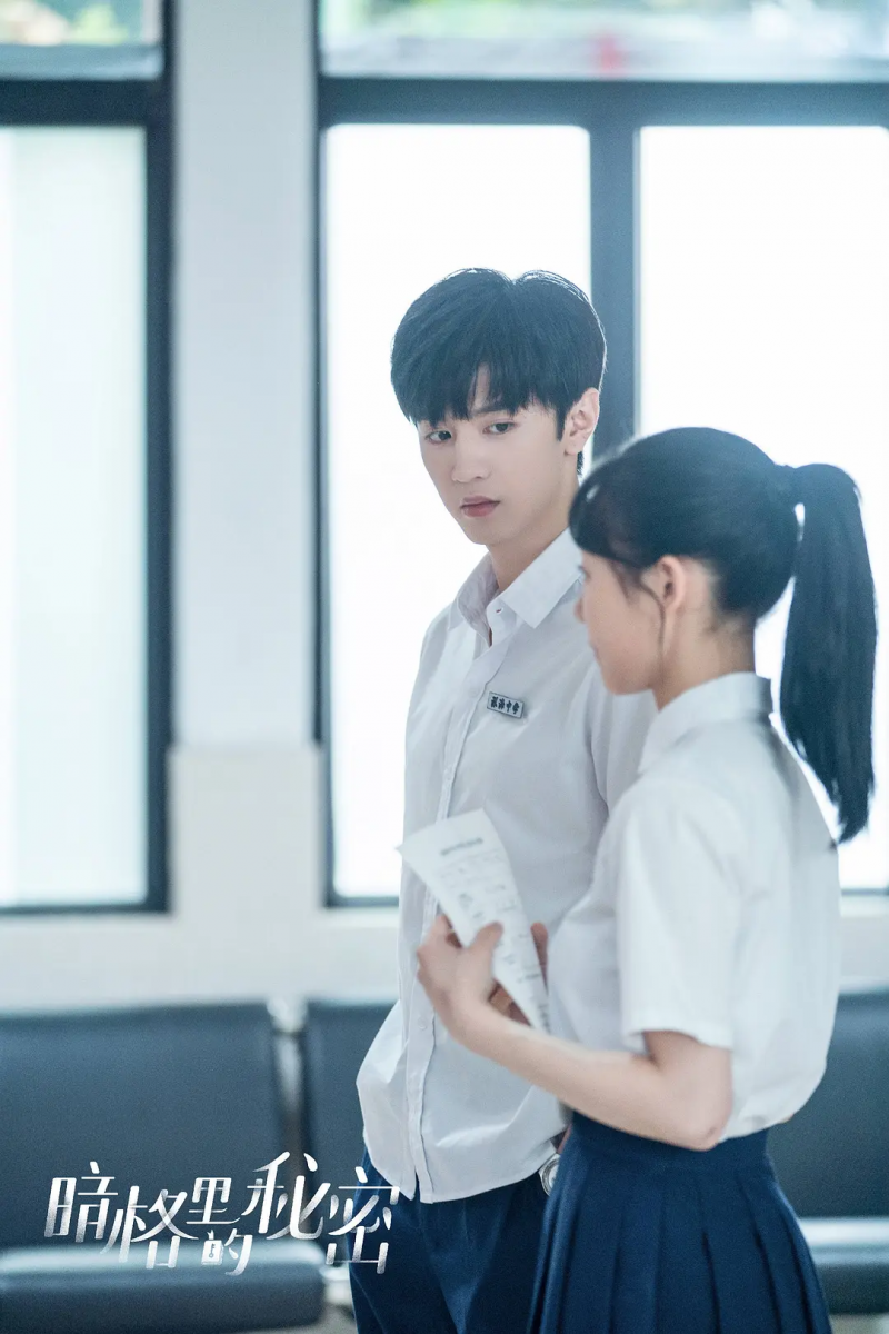 2021 豆瓣高分甜宠剧 TOP 10:《暗格里的秘密》| 豆瓣评分:6.7