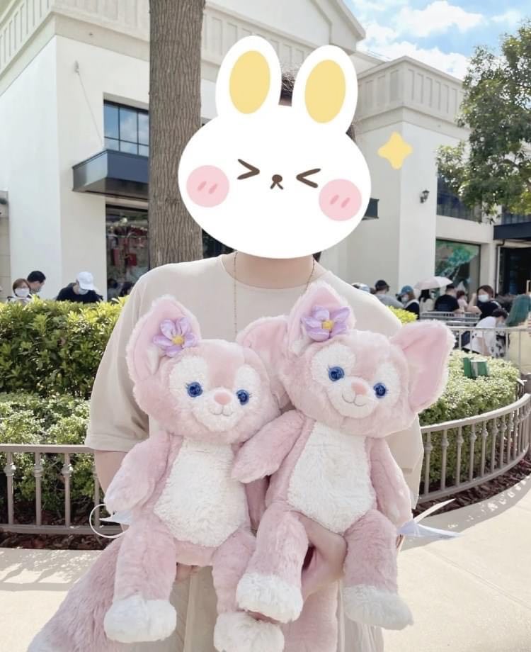 一众热门周边商品中,LinaBell玲娜贝儿毛绒玩偶绝对是最受欢迎品项之一。