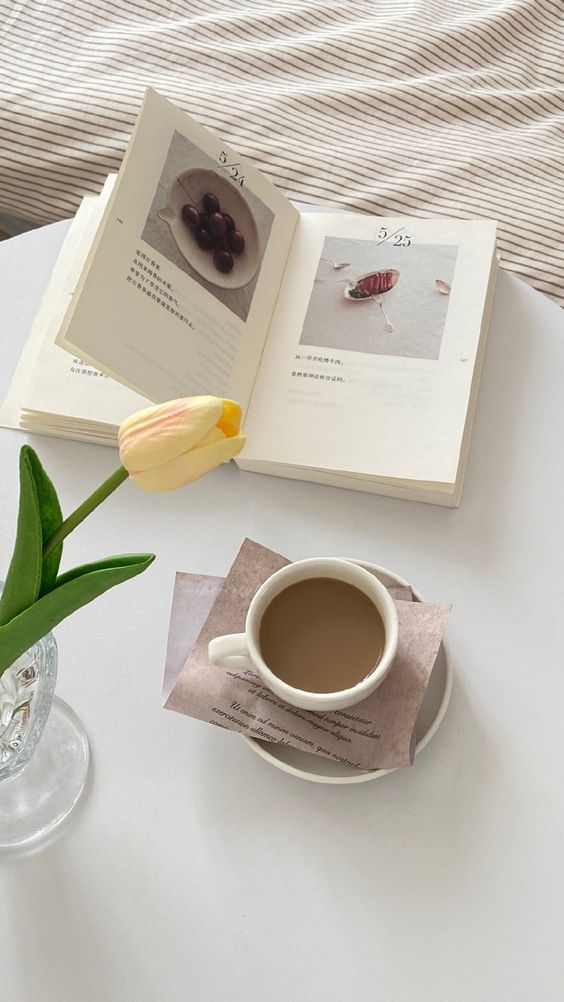 「我们都太急切地想要一个答案了;想要风光的学位、想要瞬间的博学、想要意气风发...可是现实告诉我们,操之过急,就会败北。」