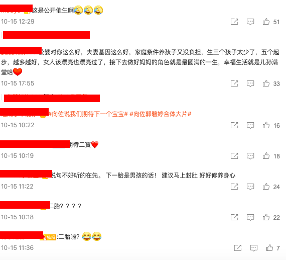 「哎,人家有爱有钱,过得很好,为什么不能分享想生二胎的心情呢?我觉得大家不要管的太宽了」