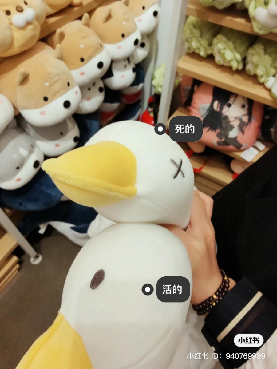 来自 MINISO 爆火的小鸭玩偶还分死、活款~