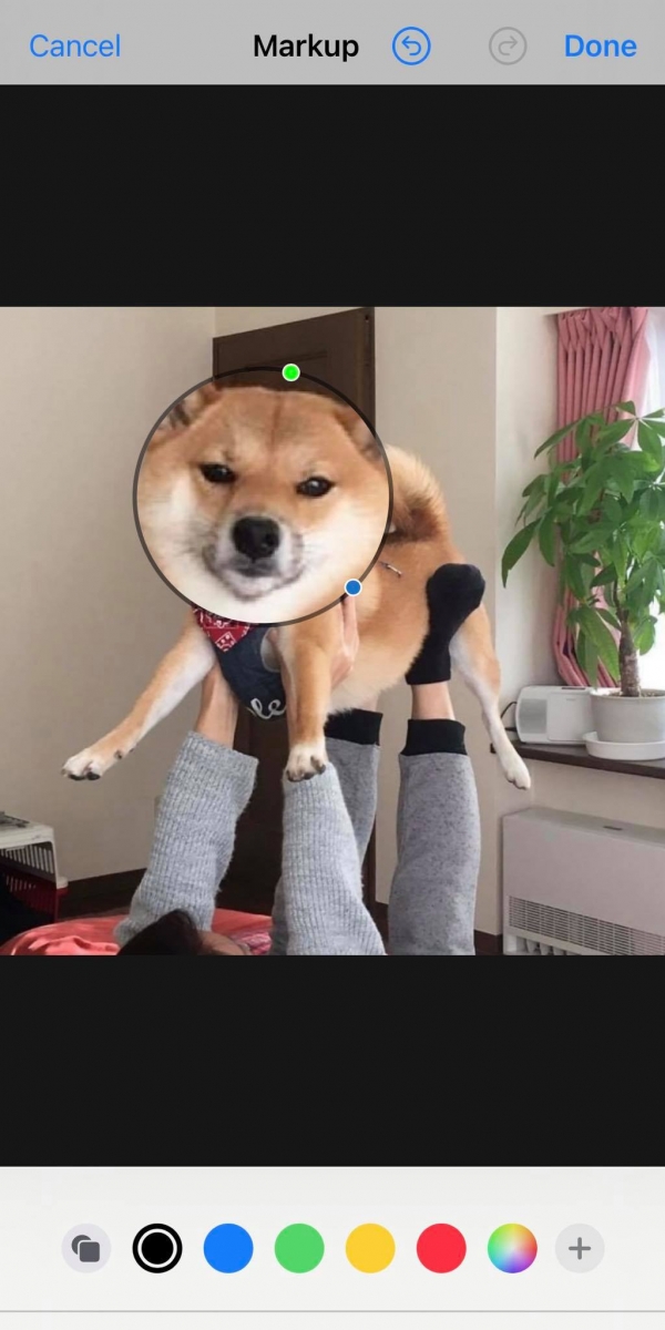 iPhone相册隐藏功能放大镜特效：步骤4，拖动圆框到你想要放大的位置上，按着绿色小点拖动调节放大镜的放大倍率；按着蓝色小点拖动调节想放大的区域大小。完成后按右上角「Done完成」，回到编辑界面选择右下角「Done完成」，即可储存放大镜效果照片啦！