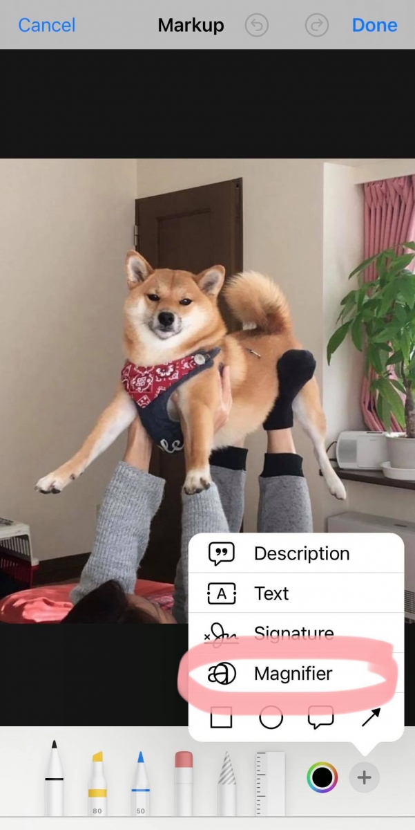 iPhone相册隐藏功能放大镜特效：步骤3，选择右下角「+」，之后选择「Magnifier放大器」工具。