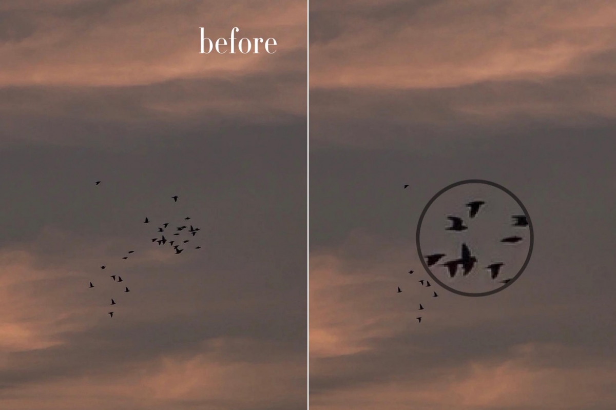 iPhone相册放大镜功能用途（五）：风景、天空等远景照片也能用放大镜效果突出亮点！