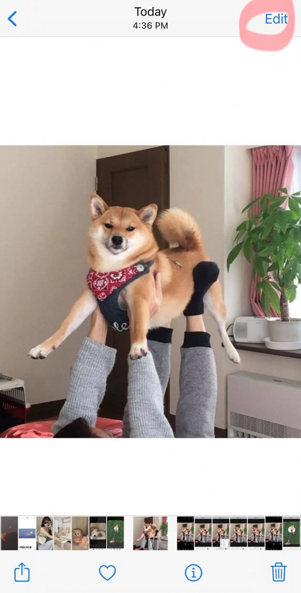 iPhone相册隐藏功能放大镜特效：步骤一，打开iPhone相册，选择你想要编辑的照片。点击右上角「Edit编辑」。