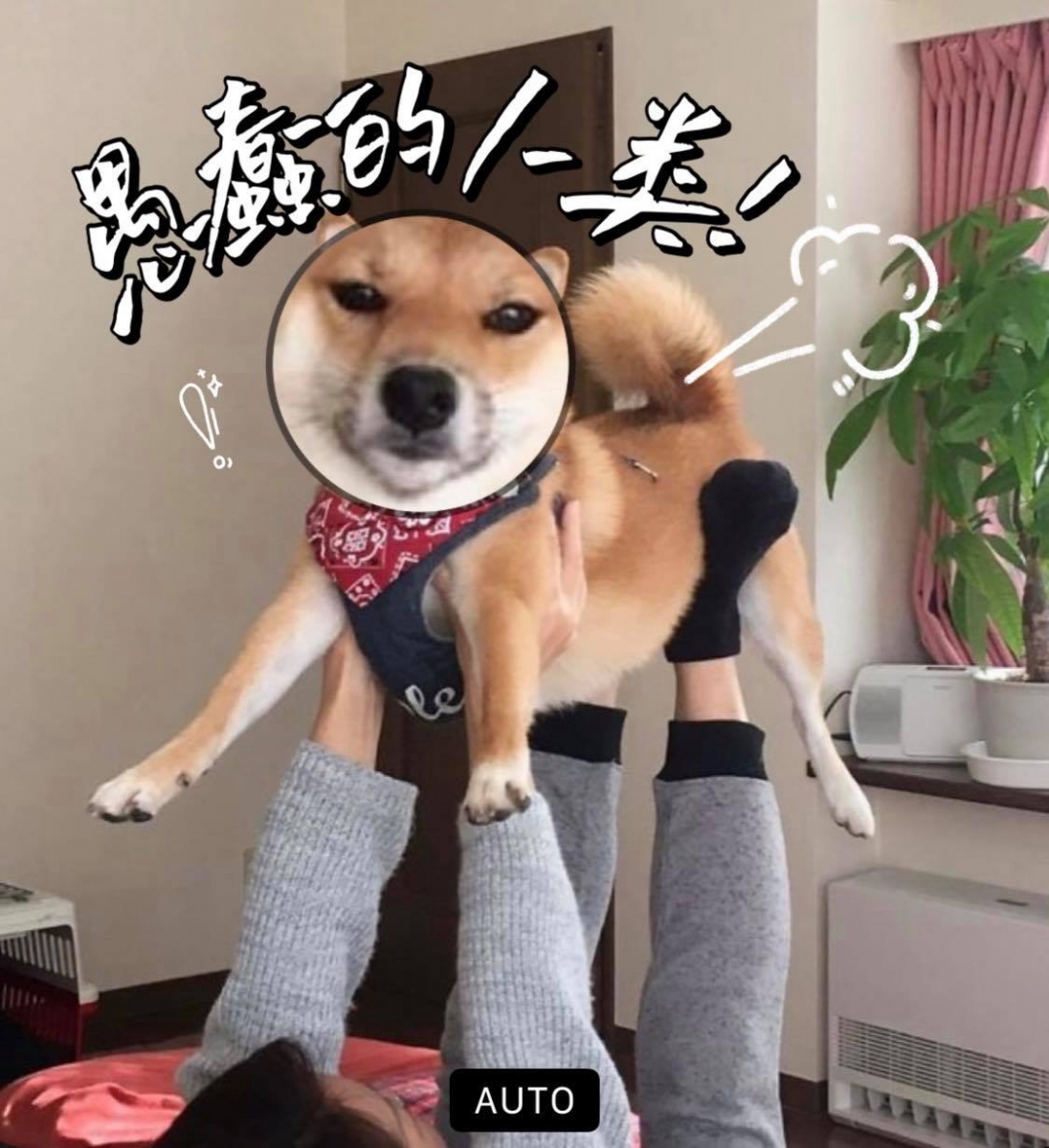 iPhone相册隐藏功能放大镜特效：可以使用其他可添加花字、有趣元素的APP发挥P图创意～编使用的是【黄油相机】，里面有很多免费素材可用，大家可以下载来试用看看！