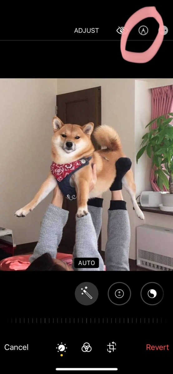 iPhone相册隐藏功能放大镜特效：步骤2，进入编辑状态后，点击右上角的画笔工具，进入「Markup标记」界面。