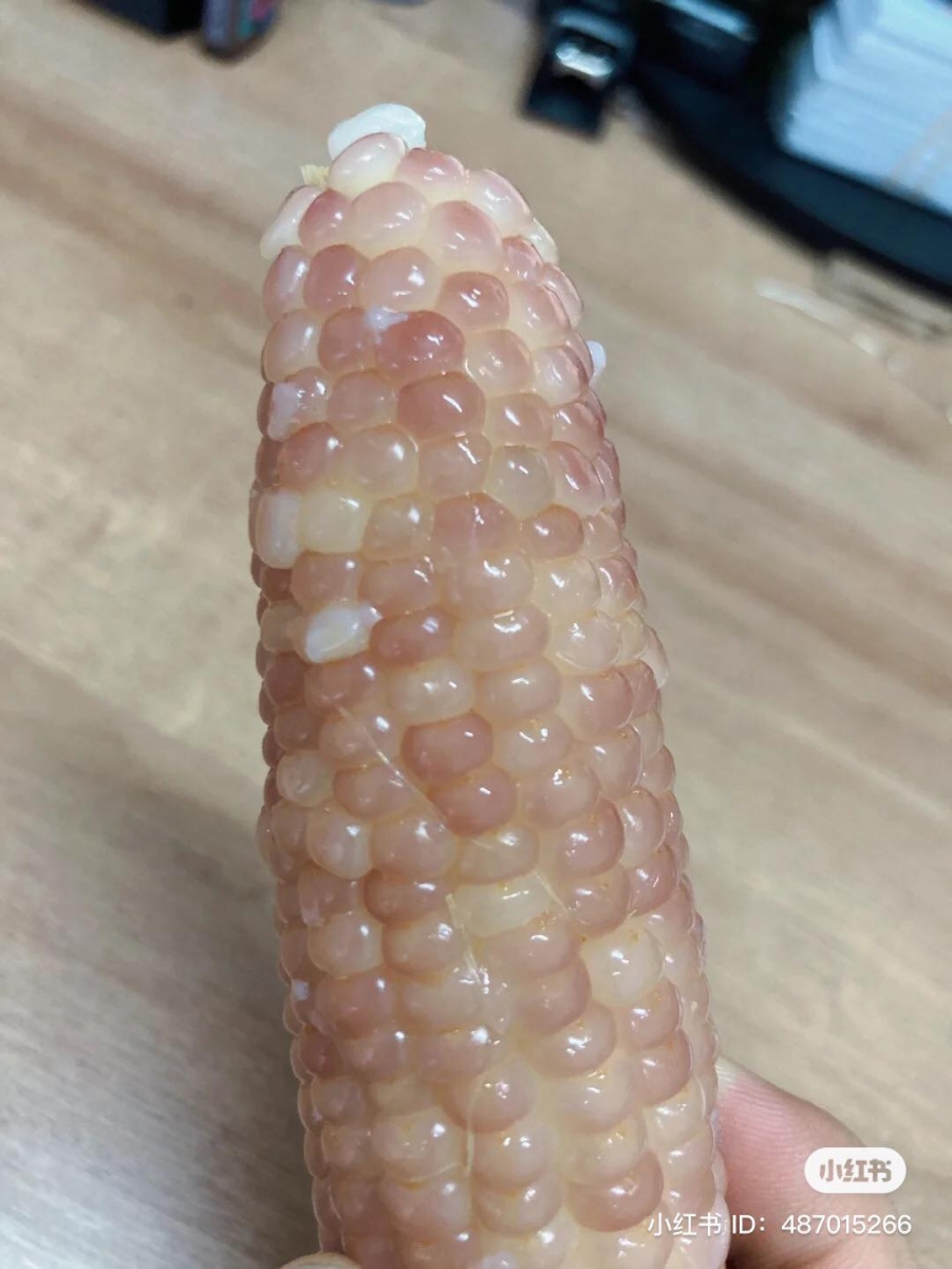 整体来说,「玻璃彩色玉米」并没有比一般爆米花来得好吃,只是外观特别吸引眼球~晶莹剔透的玻璃质感也是很棒的装饰物!❤️