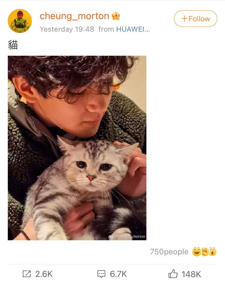 魔童一直都是备受瞩目的星二代,如今过了 16 年终于开通微博首次发文晒出和猫咪的合照,侧颜杀瞬间迷倒众人上热搜。