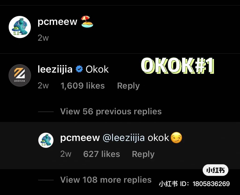 此外,也有眼尖的网友发现双方周不时都会在彼此的照片下留言 #OKOK?!