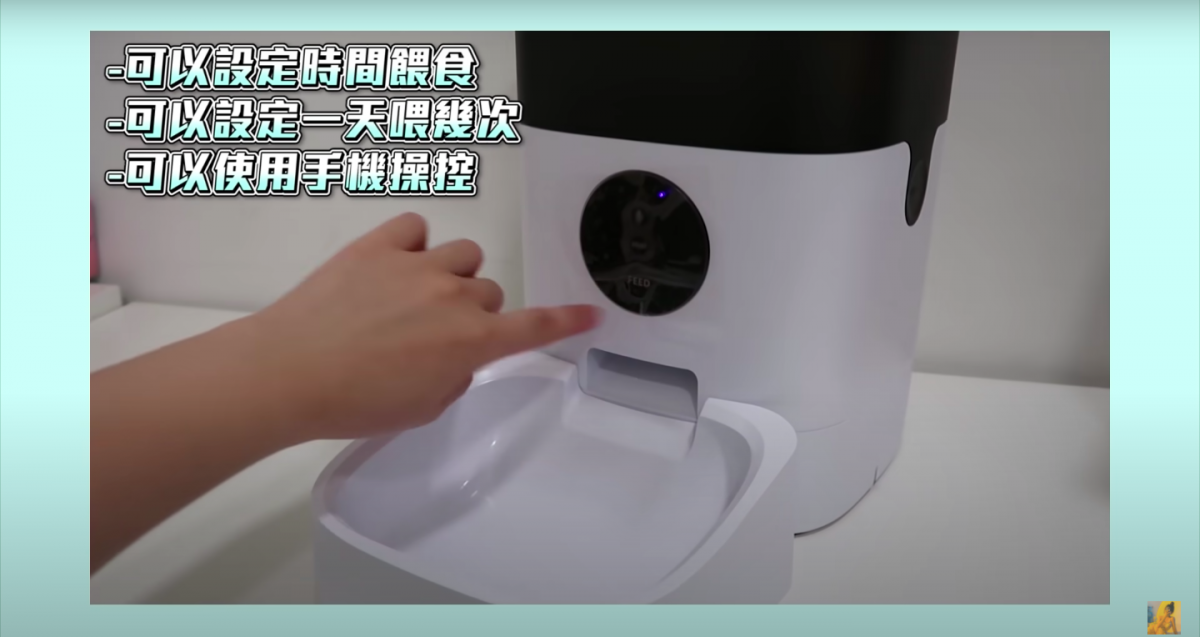 还有自动喂食器