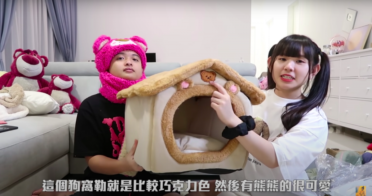 她这次也买了不少狗狗的东西，比如像是狗窝来作为狗狗的家～