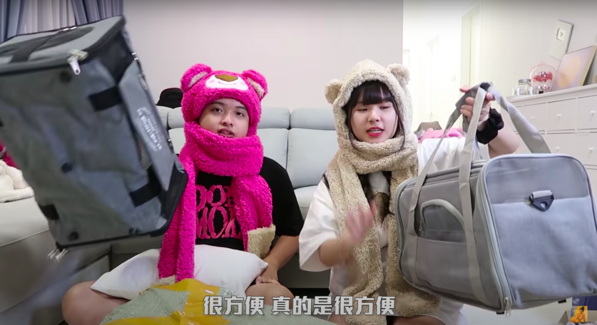 接下来，就是宠物包