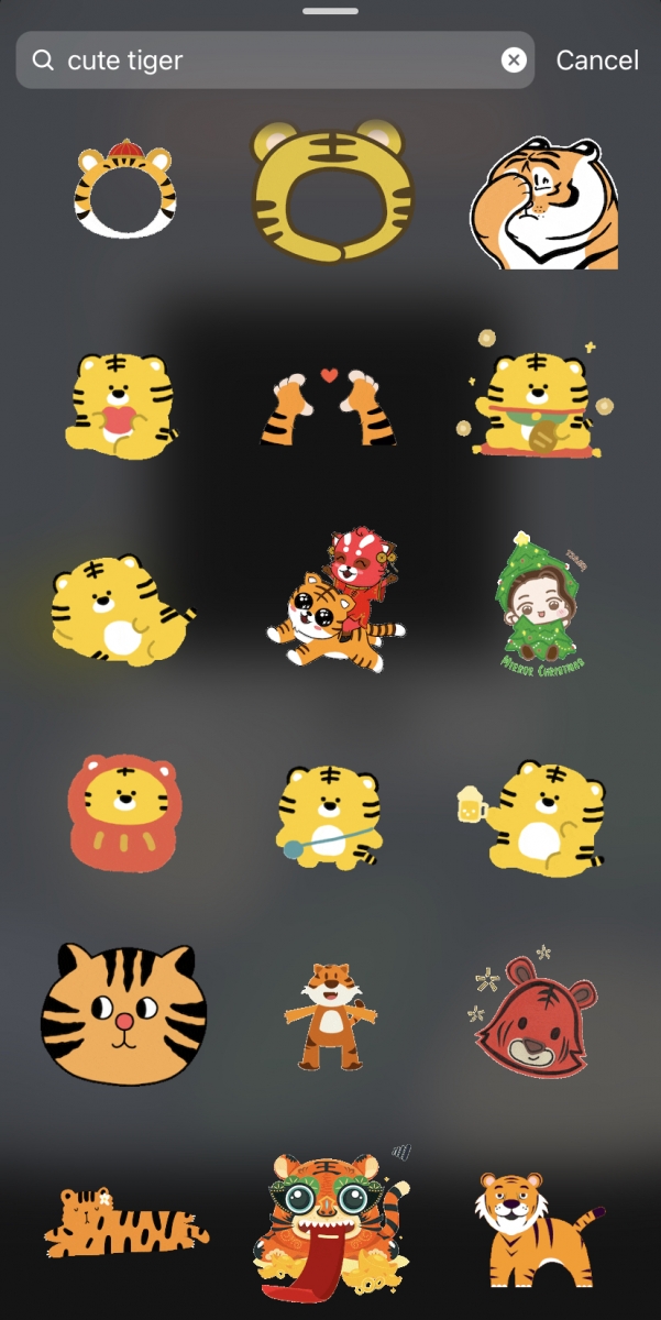 ?Instagram GIF 搜索关键字：cute tiger